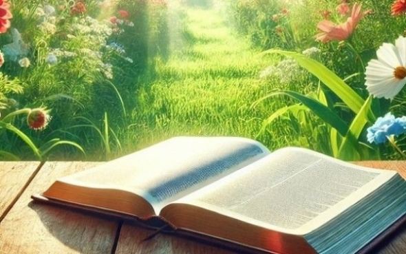 Tử vi vòng quay công nghệ ngày 29/6/2026: Tuổi Sửu tài lộc khởi sắc, tuổi Tỵ cẩn trọng quyết định lớn