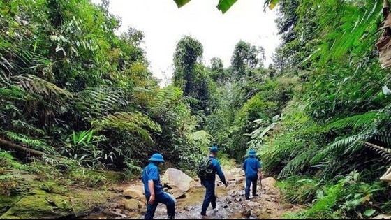Nghệ An: 35 cộng đồng dân cư tham gia quản lý rừng được hưởng lợi nguồn thu từ ERPA