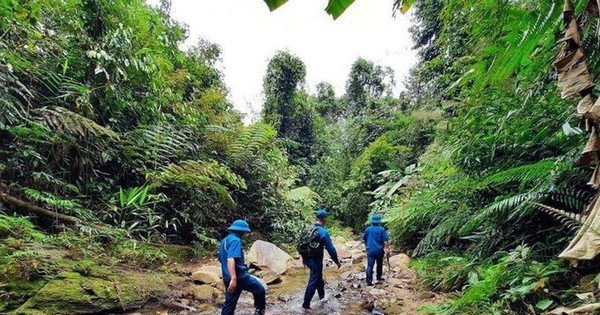 Nghệ An: 35 cộng đồng dân cư tham gia quản lý rừng được hưởng lợi nguồn thu từ ERPA
