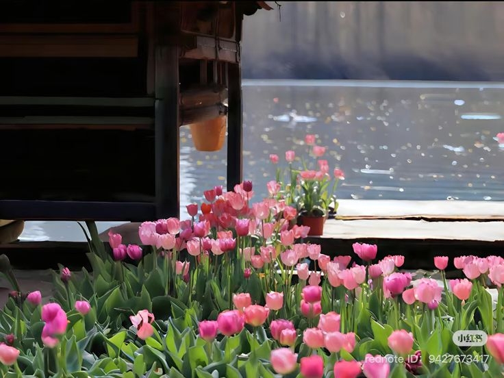 Tử vi vòng quay công nghệ ngày 2/7/2025: Tuổi Mùi giậm chân tại chỗ, tuổi Tuất tiền bạc dư dôi