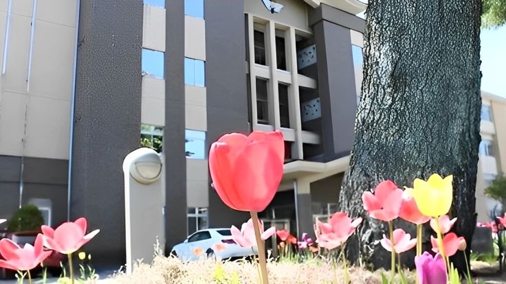 Tử vi vòng quay công nghệ ngày 4/7/2025: