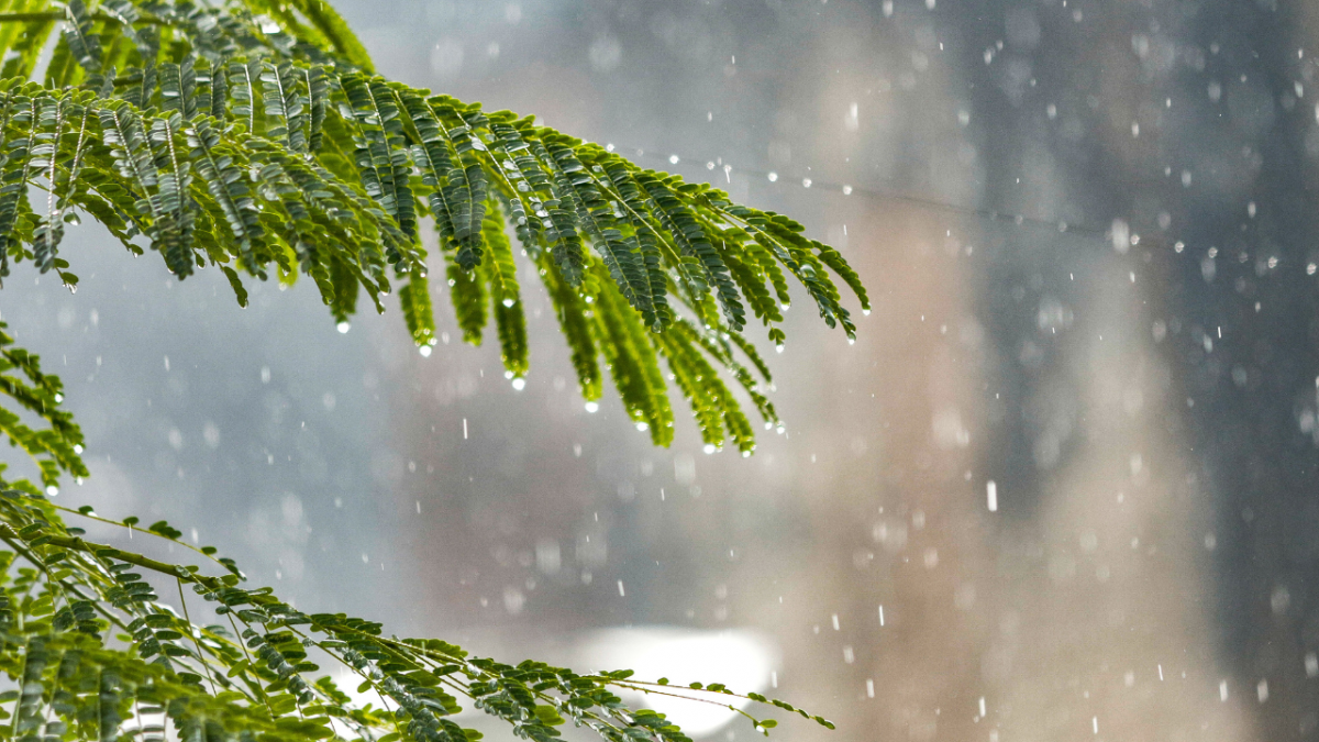 Miền Bắc sắp kết thúc mưa dông, chuẩn bị đón nắng nóng gay gắt từ 8/7 Miền Bắc sắp kết thúc mưa dông, chuẩn bị đón nắng nóng gay gắt từ 8/7