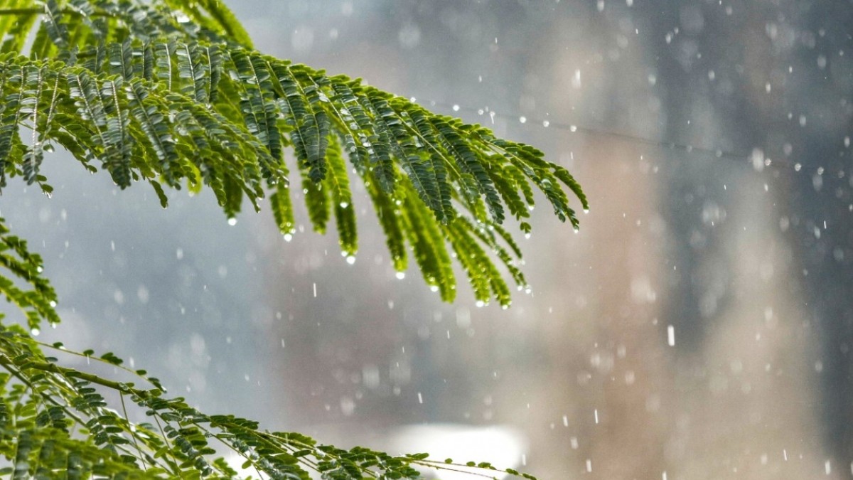 Miền Bắc sắp kết thúc mưa dông, chuẩn bị đón nắng nóng gay gắt từ 8/7