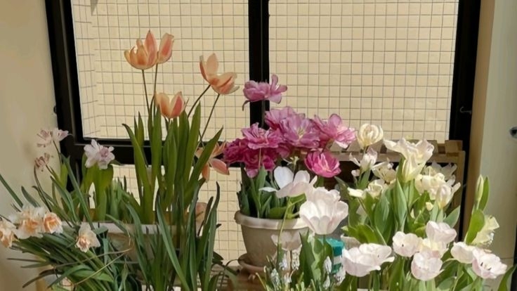 Tử vi vòng quay công nghệ ngày 5/7/2025: Tuổi Mão quý nhân phù trợ, tuổi Tuất sức khỏe giảm sút Tử vi vòng quay công nghệ ngày 5/7/2025: Tuổi Mão quý nhân phù trợ, tuổi Tuất sức khỏe giảm sút