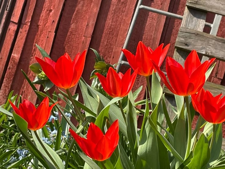 Tử vi vòng quay công nghệ ngày 6/7/2025: Tuổi Mão phát huy tài năng, tuổi Ngọ dễ bị lừa gạt Tử vi vòng quay công nghệ ngày 6/7/2025: Tuổi Mão phát huy tài năng, tuổi Ngọ dễ bị lừa gạt