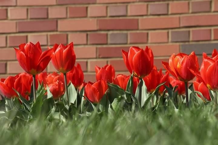 Tử vi vòng quay công nghệ ngày 6/7/2025: Tuổi Mão phát huy tài năng, tuổi Ngọ dễ bị lừa gạt Tử vi vòng quay công nghệ ngày 6/7/2025: Tuổi Mão phát huy tài năng, tuổi Ngọ dễ bị lừa gạt