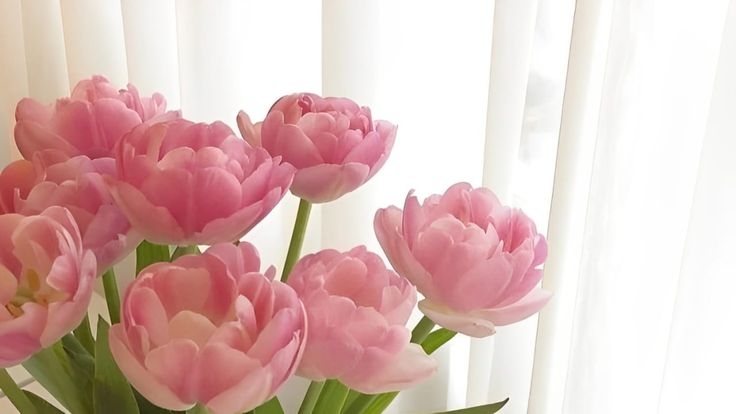 Tử vi vòng quay công nghệ ngày 7/7/2025: Tuổi Sửu tinh thần hăng hái, tuổi Mùi bị kẻ xấu hãm hại Tử vi vòng quay công nghệ ngày 7/7/2025: Tuổi Sửu tinh thần hăng hái, tuổi Mùi bị kẻ xấu hãm hại