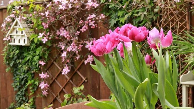 Tử vi vòng quay công nghệ ngày 8/7/2025: Tuổi Mùi chú ý hành xử, tuổi Tý vô cùng thuận lợi