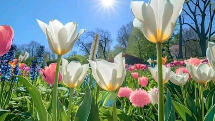 Tử vi vòng quay công nghệ ngày 12/7/2025: Tuổi Tuất dễ gặp căng thẳng, tuổi Mùi gặp tích cực Tử vi vòng quay công nghệ ngày 12/7/2025: Tuổi Tuất dễ gặp căng thẳng, tuổi Mùi gặp tích cực