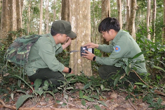 Bảo tồn, phát triển đa dạng sinh học tại Vườn quốc gia Chư Mom Ray Bảo tồn, phát triển đa dạng sinh học tại Vườn quốc gia Chư Mom Ray