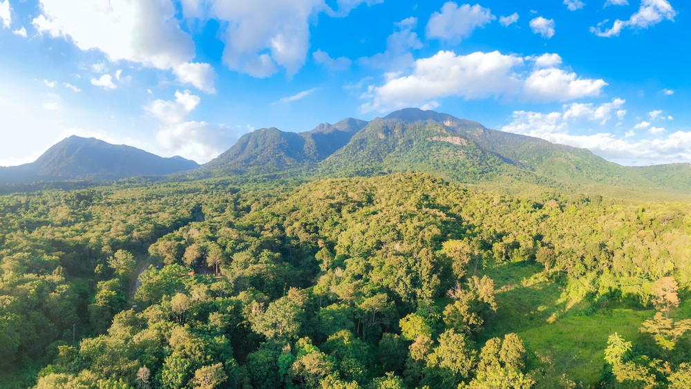 Bảo tồn, phát triển đa dạng sinh học tại Vườn quốc gia Chư Mom Ray Bảo tồn, phát triển đa dạng sinh học tại Vườn quốc gia Chư Mom Ray