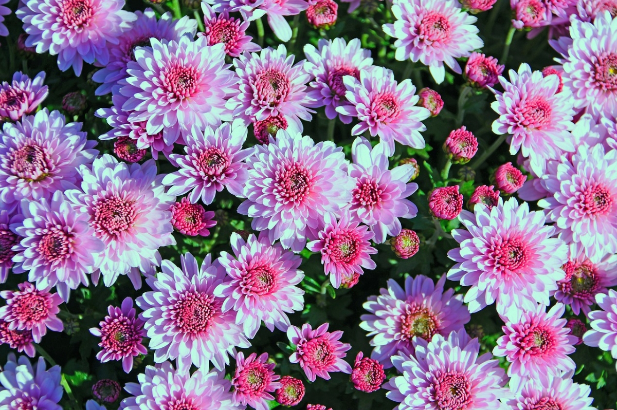 Tử vi vòng quay công nghệ ngày 15/7/2025: Tuổi Tý gặp chút rắc rối, Tuổi Thìn cần bình tĩnh trước mọi việc Tử vi vòng quay công nghệ ngày 15/7/2025: Tuổi Tý gặp chút rắc rối, Tuổi Thìn cần bình tĩnh trước mọi việc