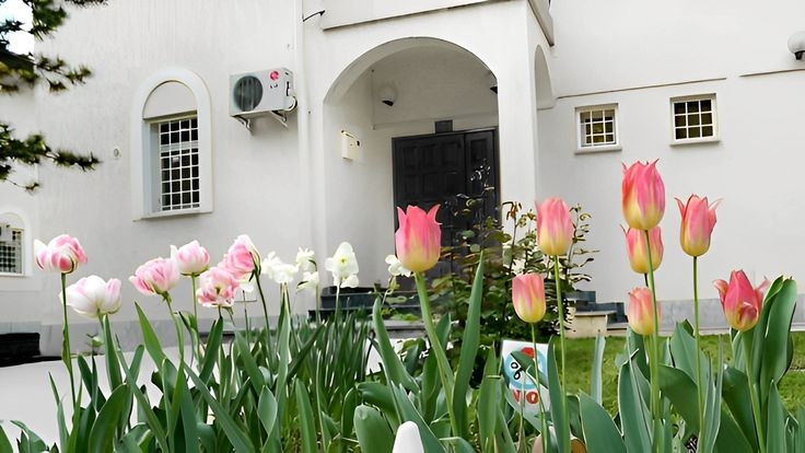 Tử vi vòng quay công nghệ ngày 17/7/2025: Tuổi Hợi đối mặt với áp lực, tuổi Tý quý nhân phù trợ Tử vi vòng quay công nghệ ngày 17/7/2025: Tuổi Hợi đối mặt với áp lực, tuổi Tý quý nhân phù trợ