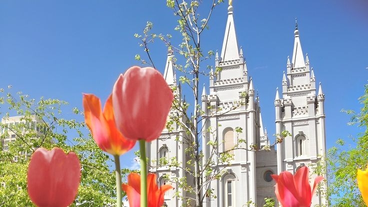 Tử vi vòng quay công nghệ ngày 17/7/2025: Tuổi Hợi đối mặt với áp lực, tuổi Tý quý nhân phù trợ Tử vi vòng quay công nghệ ngày 17/7/2025: Tuổi Hợi đối mặt với áp lực, tuổi Tý quý nhân phù trợ