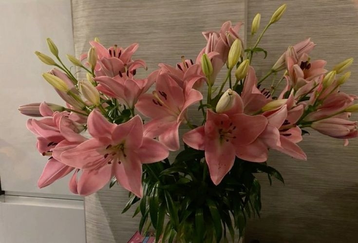 Tử vi vòng quay công nghệ ngày 24/7/2025: Tuổi Mão chi tiêu tốn kém, tuổi Mùi gia đình hòa hợp Tử vi vòng quay công nghệ ngày 24/7/2025: Tuổi Mão chi tiêu tốn kém, tuổi Mùi gia đình hòa hợp