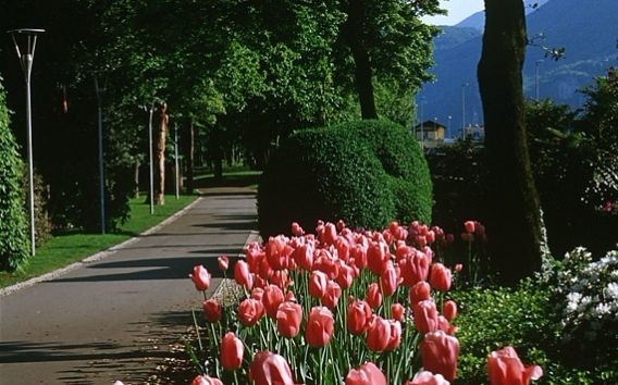 Tử vi vòng quay công nghệ ngày 27/7/2025: Tuổi Hợi áp lực công việc, tuổi Tý công việc thuận lợi Tử vi vòng quay công nghệ ngày 27/7/2025: Tuổi Hợi áp lực công việc, tuổi Tý công việc thuận lợi