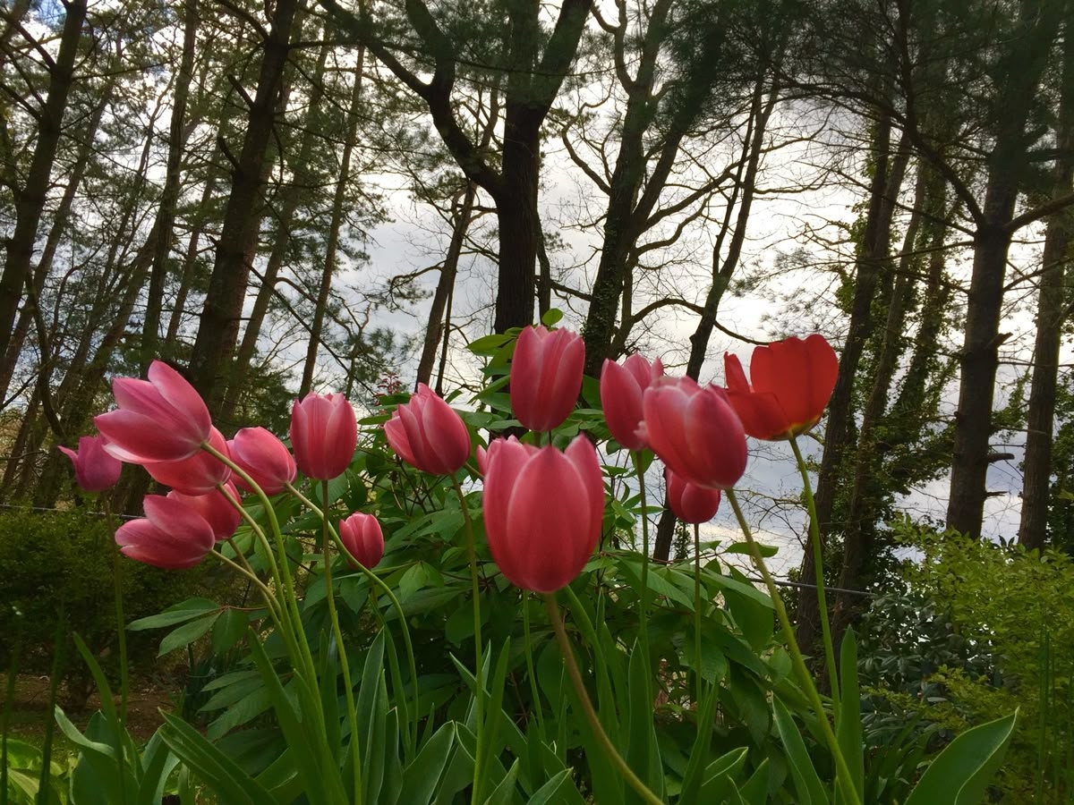 Tử vi vòng quay công nghệ ngày 27/7/2025: Tuổi Hợi áp lực công việc, tuổi Tý công việc thuận lợi Tử vi vòng quay công nghệ ngày 27/7/2025: Tuổi Hợi áp lực công việc, tuổi Tý công việc thuận lợi