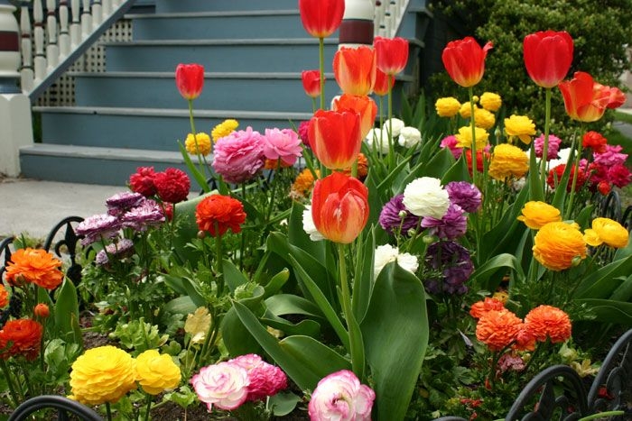 Tử vi vòng quay công nghệ ngày 27/7/2025: Tuổi Hợi áp lực công việc, tuổi Tý công việc thuận lợi Tử vi vòng quay công nghệ ngày 27/7/2025: Tuổi Hợi áp lực công việc, tuổi Tý công việc thuận lợi