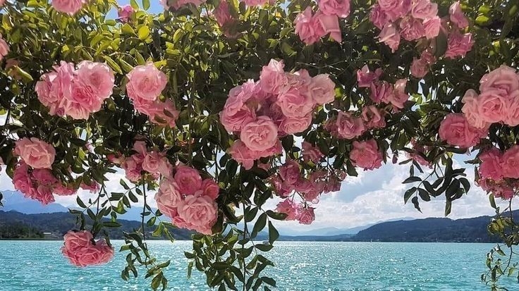 Tử vi vòng quay công nghệ ngày 30/7/2025: Tuổi Dần hạn chế mâu thuẫn, tuổi Thân công việc ổn định Tử vi vòng quay công nghệ ngày 30/7/2025: Tuổi Dần hạn chế mâu thuẫn, tuổi Thân công việc ổn định