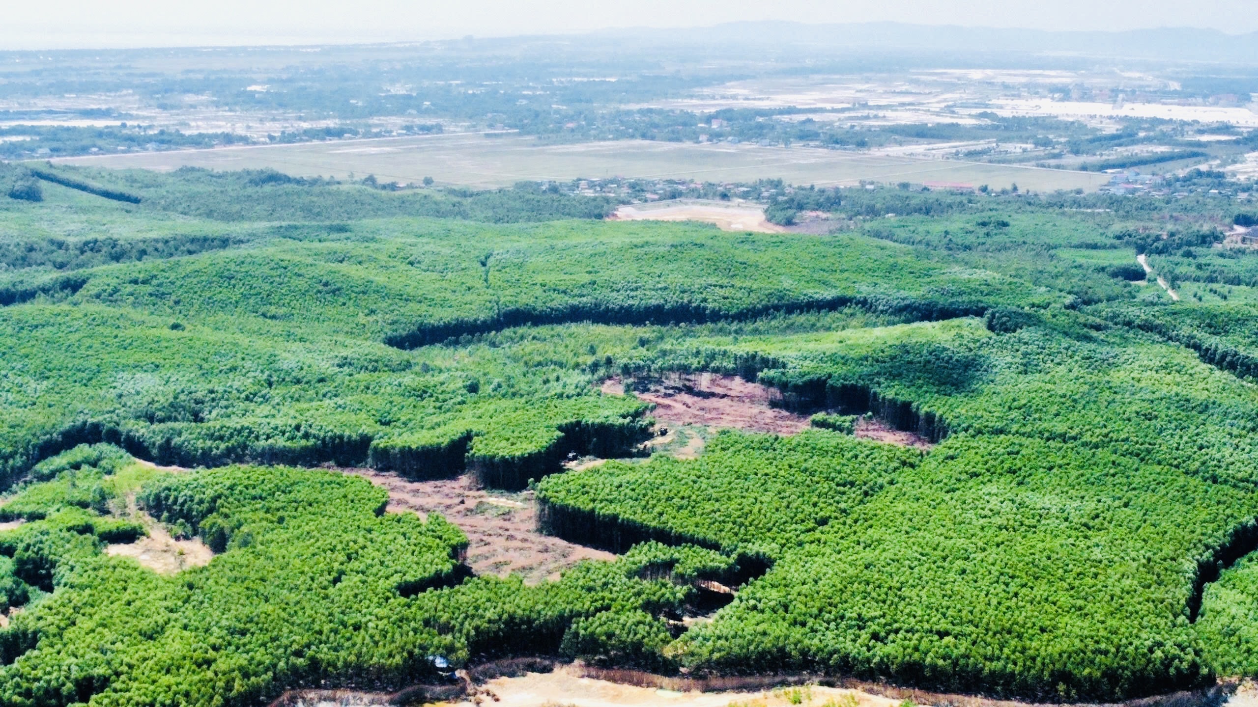 Quảng Trị: Thành lập Quỹ Bảo vệ và Phát triển rừng Quảng Trị: Thành lập Quỹ Bảo vệ và Phát triển rừng
