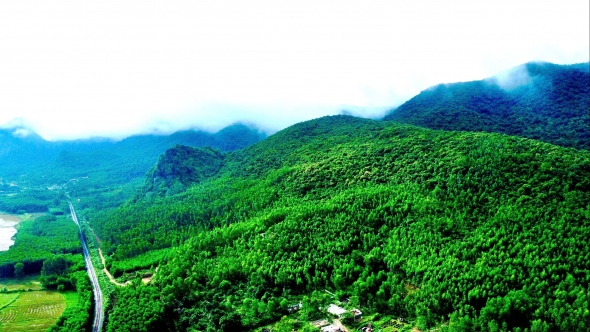 Quảng Trị: Thành lập Quỹ Bảo vệ và Phát triển rừng