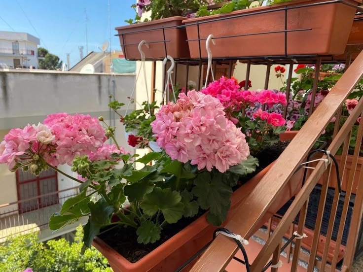 Tử vi vòng quay công nghệ ngày 1/8/2025: Tuổi Ngọ dễ vướng mâu thuẫn, tuổi Mão tràn đầy nhiệt huyết Tử vi vòng quay công nghệ ngày 1/8/2025: Tuổi Ngọ dễ vướng mâu thuẫn, tuổi Mão tràn đầy nhiệt huyết