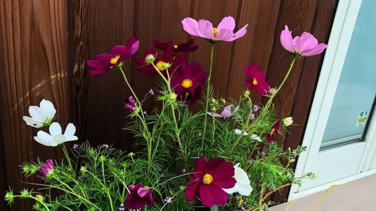 Tử vi vòng quay công nghệ ngày 1/8/2025: Tuổi Ngọ dễ vướng mâu thuẫn, tuổi Mão tràn đầy nhiệt huyết Tử vi vòng quay công nghệ ngày 1/8/2025: Tuổi Ngọ dễ vướng mâu thuẫn, tuổi Mão tràn đầy nhiệt huyết