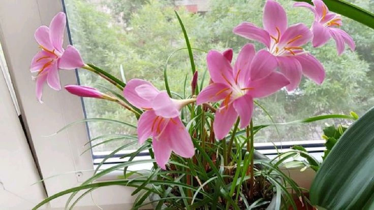 Tử vi vòng quay công nghệ ngày 1/8/2025: Tuổi Ngọ dễ vướng mâu thuẫn, tuổi Mão tràn đầy nhiệt huyết Tử vi vòng quay công nghệ ngày 1/8/2025: Tuổi Ngọ dễ vướng mâu thuẫn, tuổi Mão tràn đầy nhiệt huyết