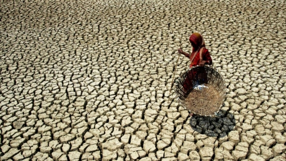 Doanh nghiệp châu Phi được hỗ trợ tài chính ứng phó biến đổi khí hậu