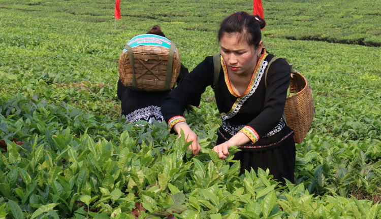 Lai Châu: Khai thác hợp lý tài nguyên mặt nước, tạo động lực phát triển kinh tế