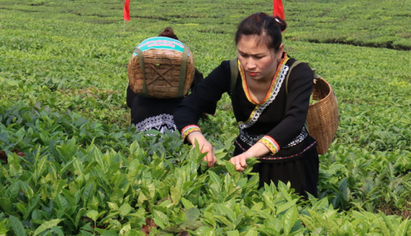 Lai Châu: Khai thác hợp lý tài nguyên mặt nước, tạo động lực phát triển kinh tế