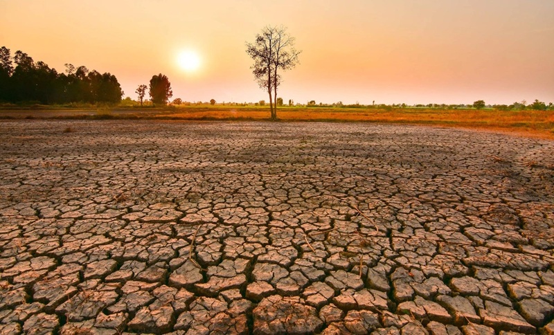 El Nino đang mạnh lên rất nhanh El Nino đang mạnh lên rất nhanh