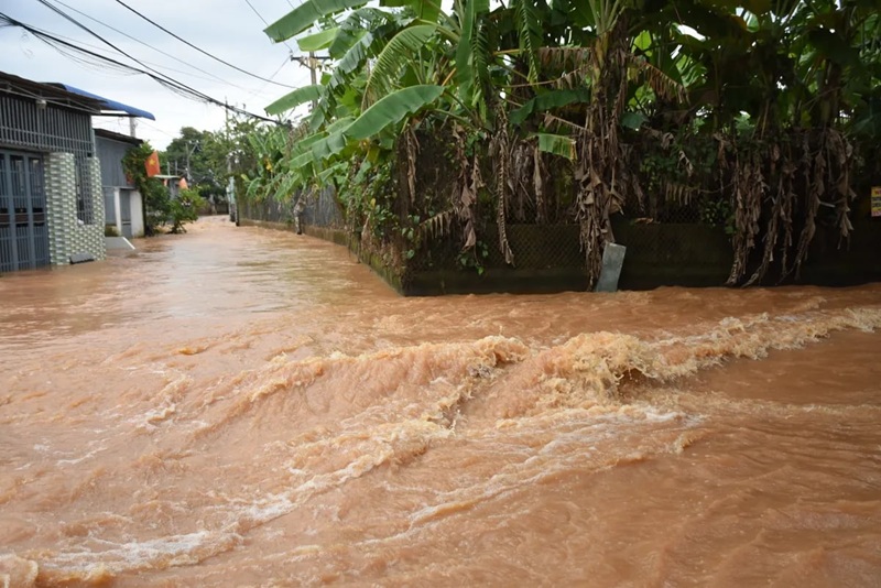 Đồng Nai: Phân vùng rủi ro, chủ động phương án ứng phó thiên tai