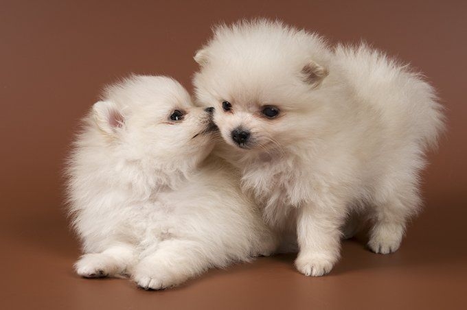 Tử vi vòng quay công nghệ ngày 15/7/2026: Tuổi Dậu gặp nhiều may mắn tài lộc, tuổi Thìn cần giữ vững lập trường