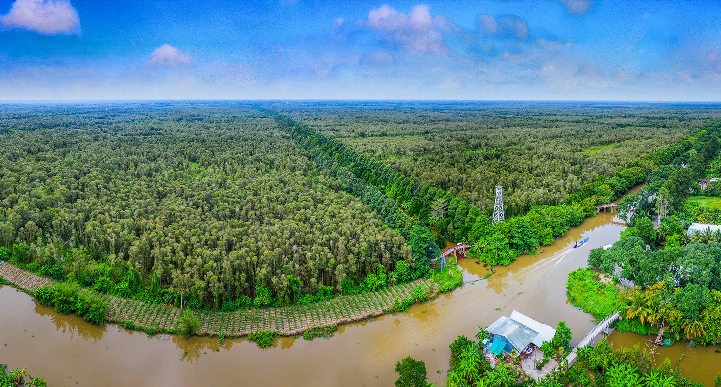 Cần Thơ: Triển khai đồng bộ giải pháp trong bảo tồn rừng, bảo vệ đa dạng sinh học