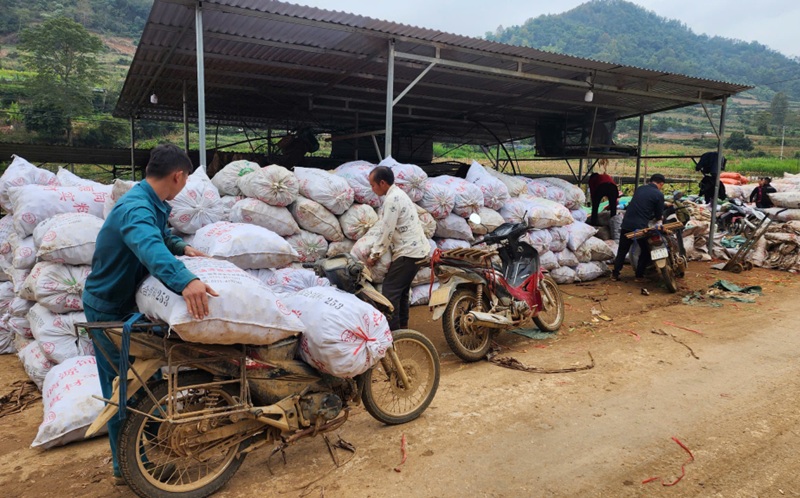 Cao Bằng phát triển kinh tế tập thể gắn với xây dựng nông thôn mới Cao Bằng phát triển kinh tế tập thể gắn với xây dựng nông thôn mới
