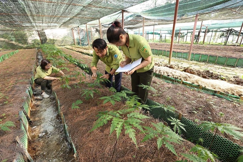 Bảo vệ đa dạng sinh học Vườn quốc gia Hoàng Liên Bảo vệ đa dạng sinh học Vườn quốc gia Hoàng Liên