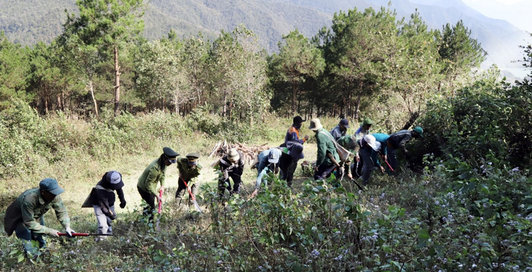 Sơn La bảo vệ hiệu quả ‘lá phổi xanh’ rừng đặc dụng Sốp Cộp Sơn La bảo vệ hiệu quả ‘lá phổi xanh’ rừng đặc dụng Sốp Cộp