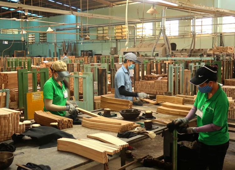 TP. HCM: Kiểm soát nguồn gốc, xây dựng chuỗi cung ứng lâm sản