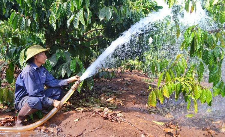 Gia Lai: Đảm bảo nguồn nước phục vụ sản xuất và dân sinh
