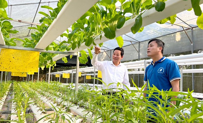 TP. HCM thúc đẩy chuyển dịch sản xuất, phát triển nông nghiệp đô thị