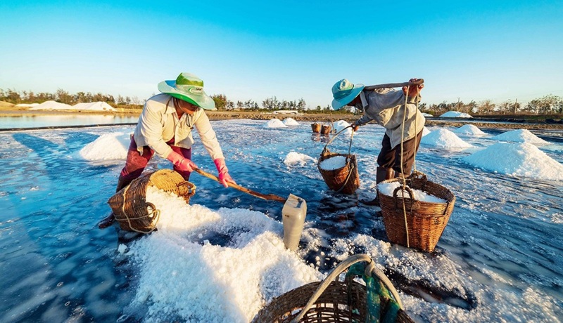 TP. HCM thúc đẩy chuyển dịch sản xuất, phát triển nông nghiệp đô thị