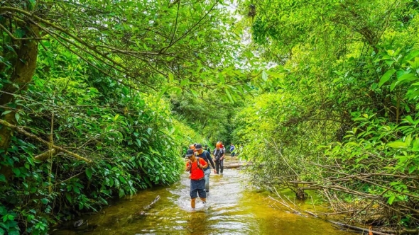 Phát huy giá trị đa dụng rừng phòng hộ Quảng Ninh