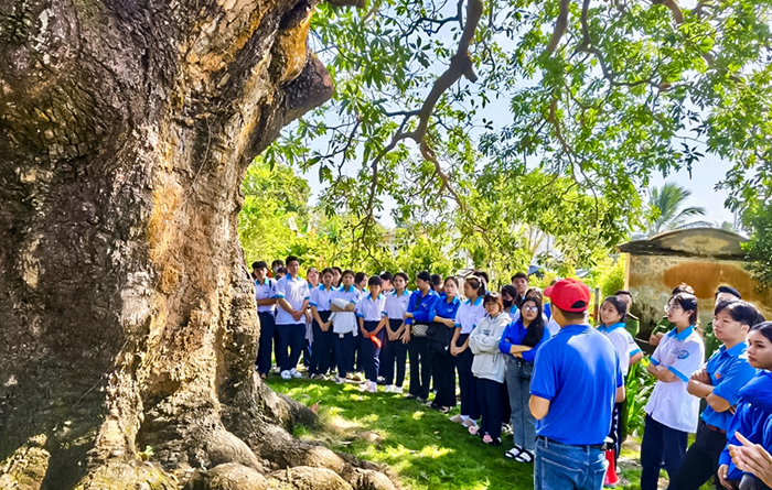 9 nhóm nhiệm vụ trọng tâm về bảo vệ môi trường, ứng phó biến đổi khí hậu trong thời kỳ mới 9 nhóm nhiệm vụ trọng tâm về bảo vệ môi trường, ứng phó biến đổi khí hậu trong thời kỳ mới