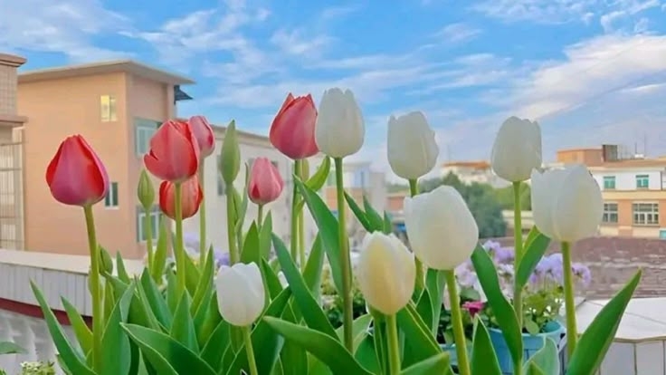 Tử vi vòng quay công nghệ ngày 30/7/2026: Tuổi Hợi đón quý nhân nâng đỡ, tuổi Thìn cần cẩn trọng khi đưa ra quyết định Tử vi vòng quay công nghệ ngày 30/7/2026: Tuổi Hợi đón quý nhân nâng đỡ, tuổi Thìn cần cẩn trọng khi đưa ra quyết định