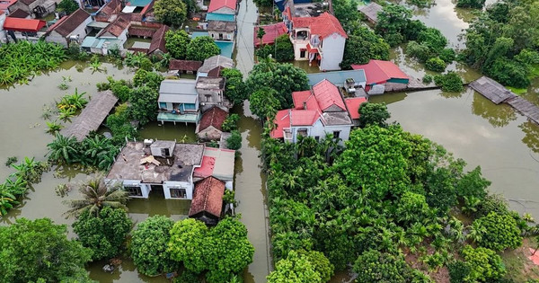 Huyện Thạch Thất thiệt hại 138,3ha diện tích hoa màu do mưa lũ Huyện Thạch Thất thiệt hại 138,3ha diện tích hoa màu do mưa lũ
