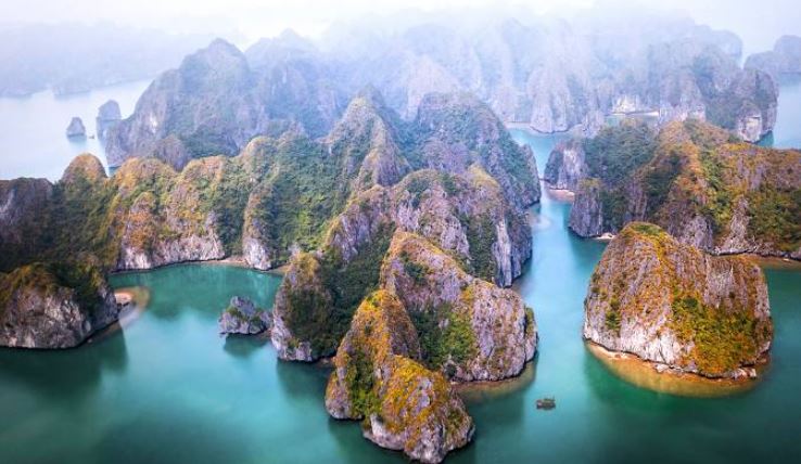 Đề xuất vịnh Hạ Long trở thành Di sản thế giới lần thứ 3 với tiêu chí về đa dạng sinh học