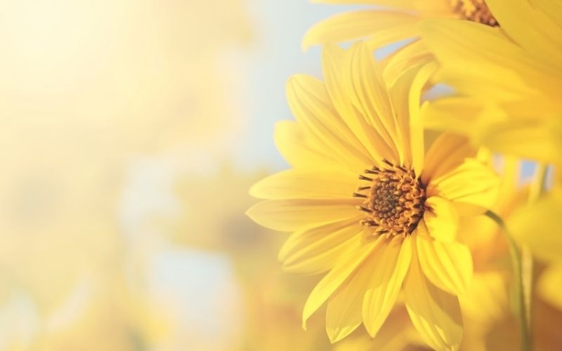 Tử vi ngày 5/8/2024: Tuổi Sửu định hướng phù hợp, tuổi Thìn khơi nguồn cảm hứng Tử vi ngày 5/8/2024: Tuổi Sửu định hướng phù hợp, tuổi Thìn khơi nguồn cảm hứng