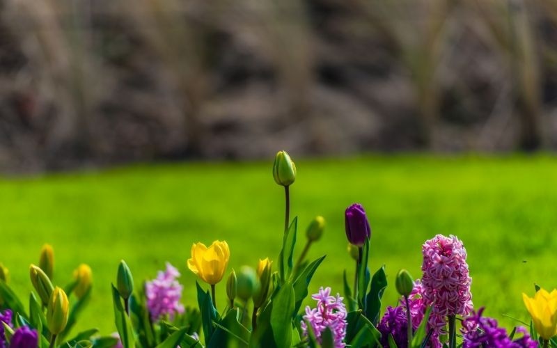 Tử vi ngày 5/8/2024: Tuổi Sửu định hướng phù hợp, tuổi Thìn khơi nguồn cảm hứng Tử vi ngày 5/8/2024: Tuổi Sửu định hướng phù hợp, tuổi Thìn khơi nguồn cảm hứng