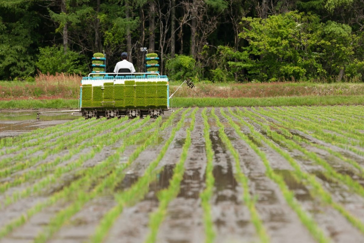 Phát triển nông nghiệp xanh tại Việt Nam - Bài 2: Những thách thức của biến đổi khí hậu Phát triển nông nghiệp xanh tại Việt Nam - Bài 2: Những thách thức của biến đổi khí hậu